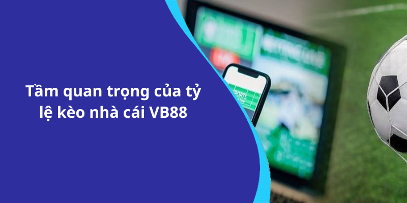 Tầm quan trọng của tỷ lệ kèo nhà cái VB88