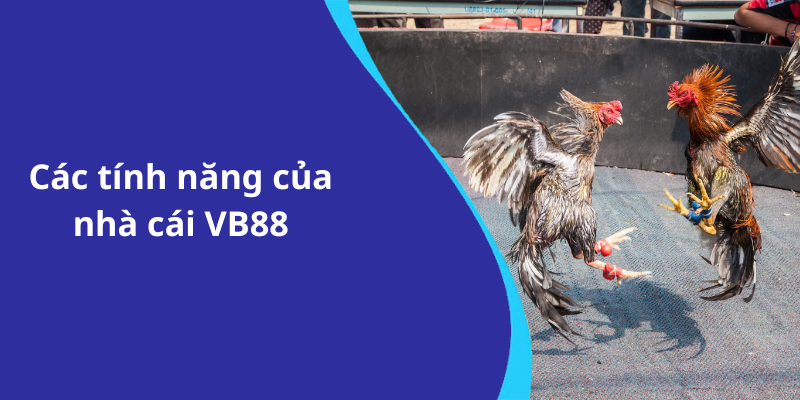 Các tính năng của nhà cái VB88