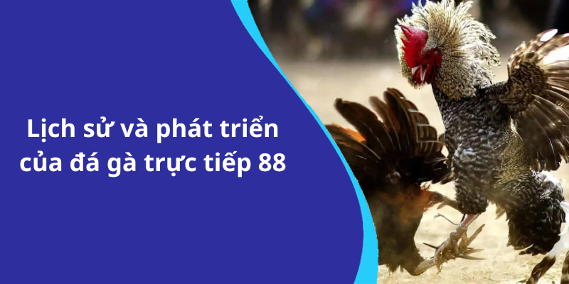 Lịch sử và phát triển của đá gà trực tiếp 88